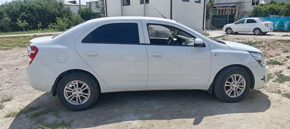 Cobult 2024 toza prapanda 40000 yurgan