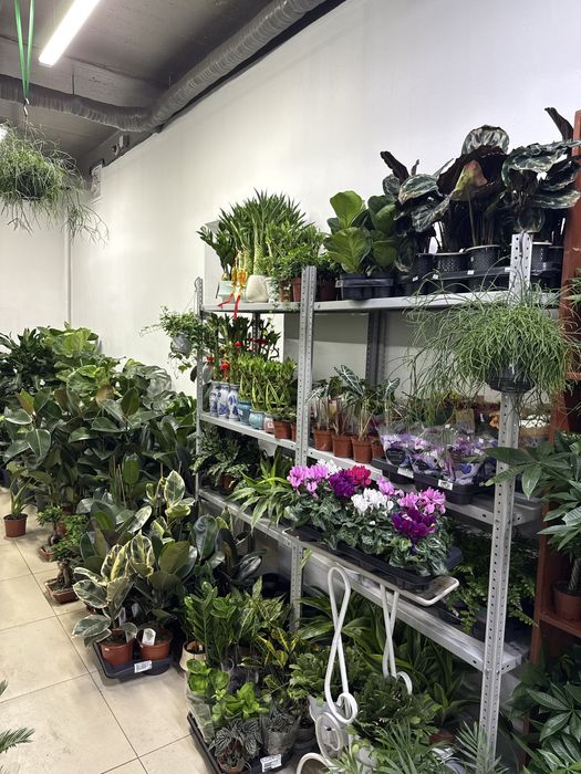 Продам готовый бизнес