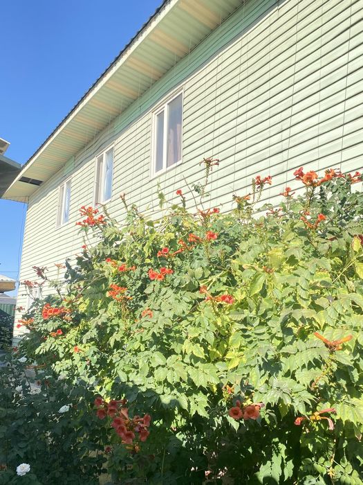 Продается дом в центре города