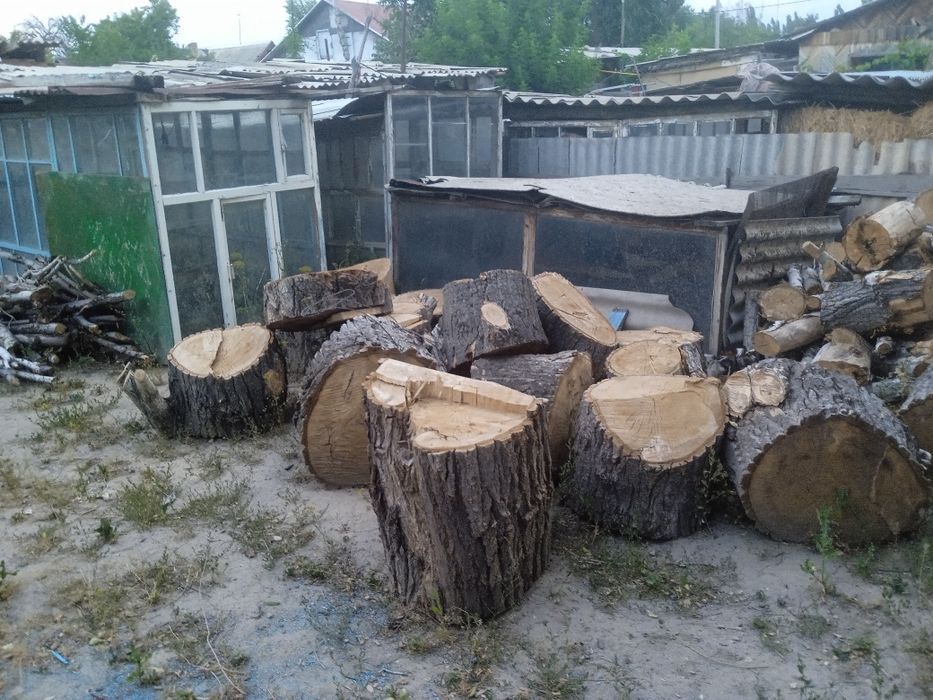 Дрова.    пеньки