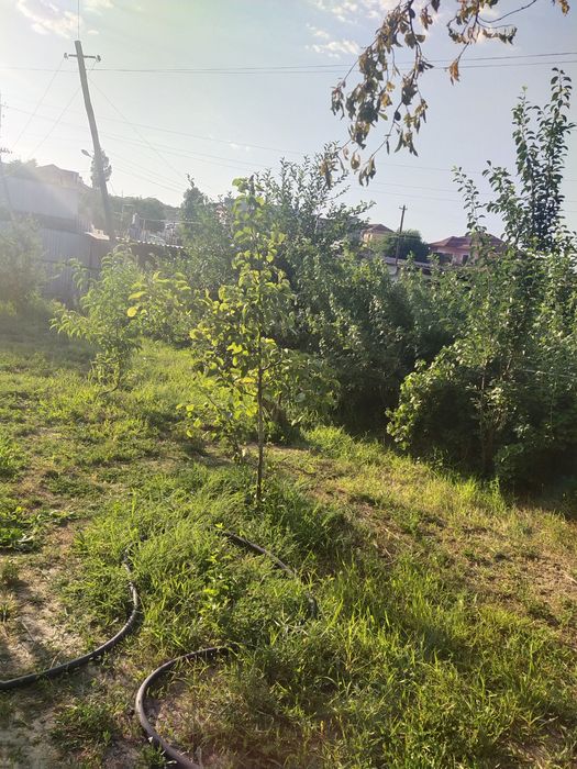 Дом продается курорт