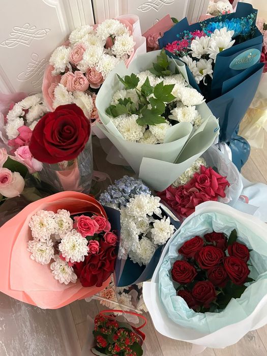 Продам разные цветы