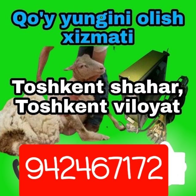 Куй юнгини олиш хизмати келишилган нархда