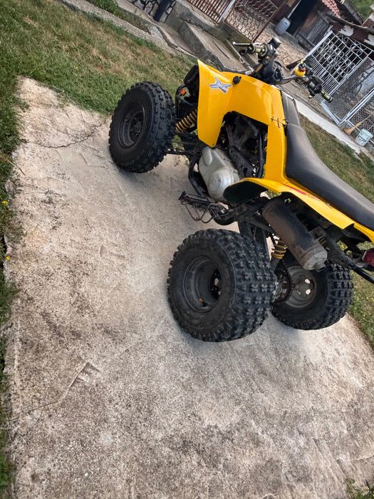 АТВ Can-am 250-DS