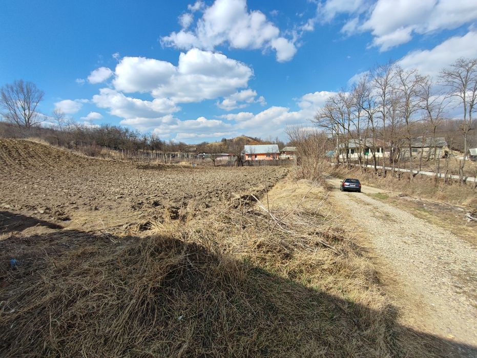 Teren intravilan Răcăciuni 2568 mp