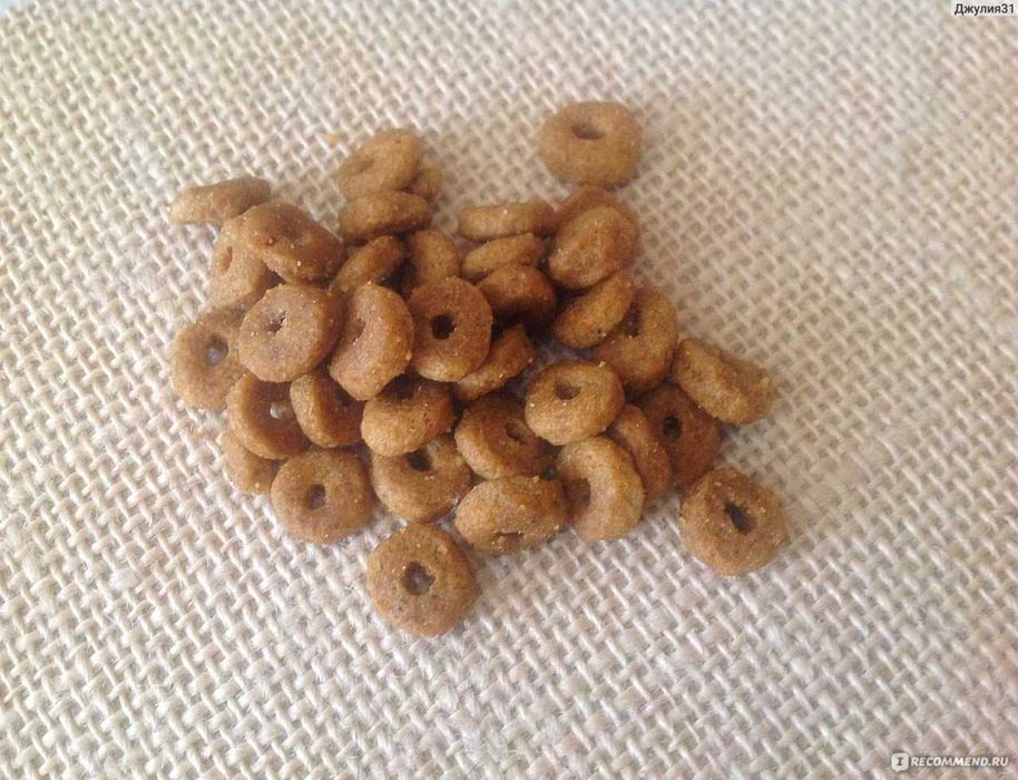 Промышленный экструдер 55 кВт!!