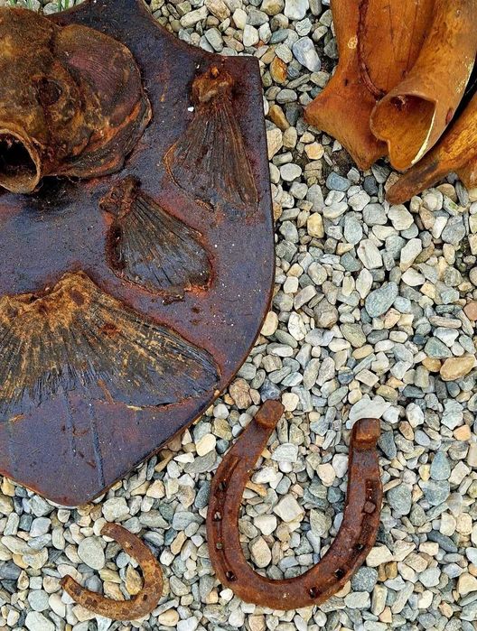 Trofee potcoave pesti