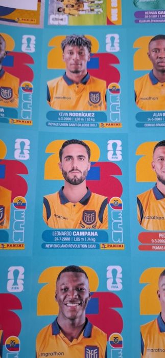 Album Pdf panini world cup 2026