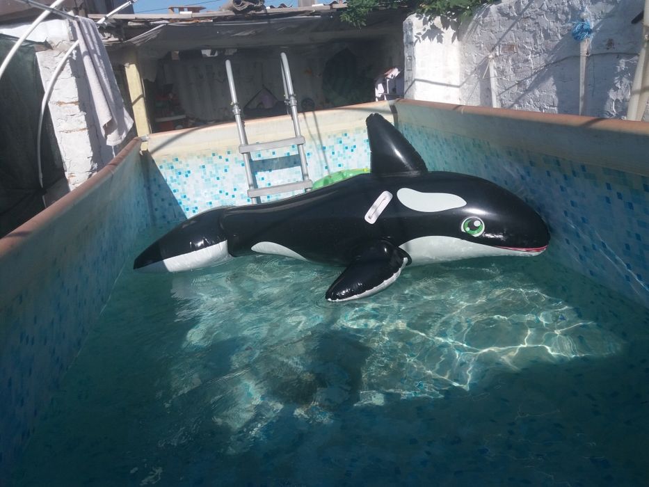 надувной круг касатка