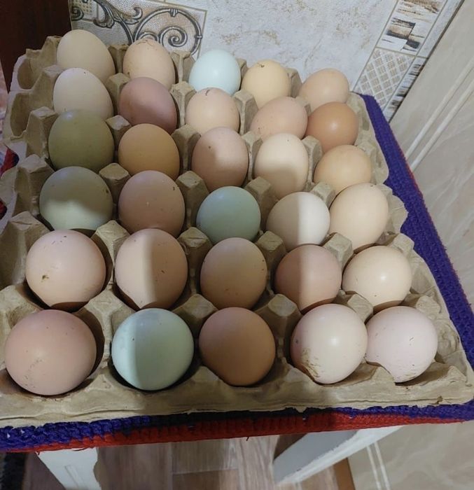 Яйца домашние свежие