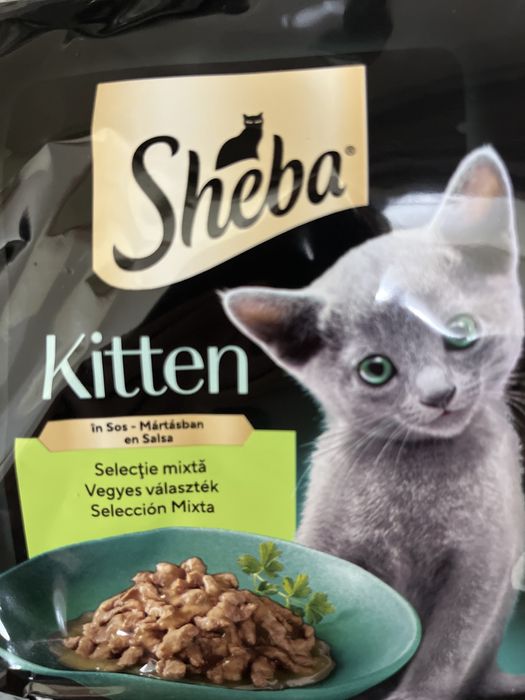 Sheba Kitten Somon In Sos 21 x 85g