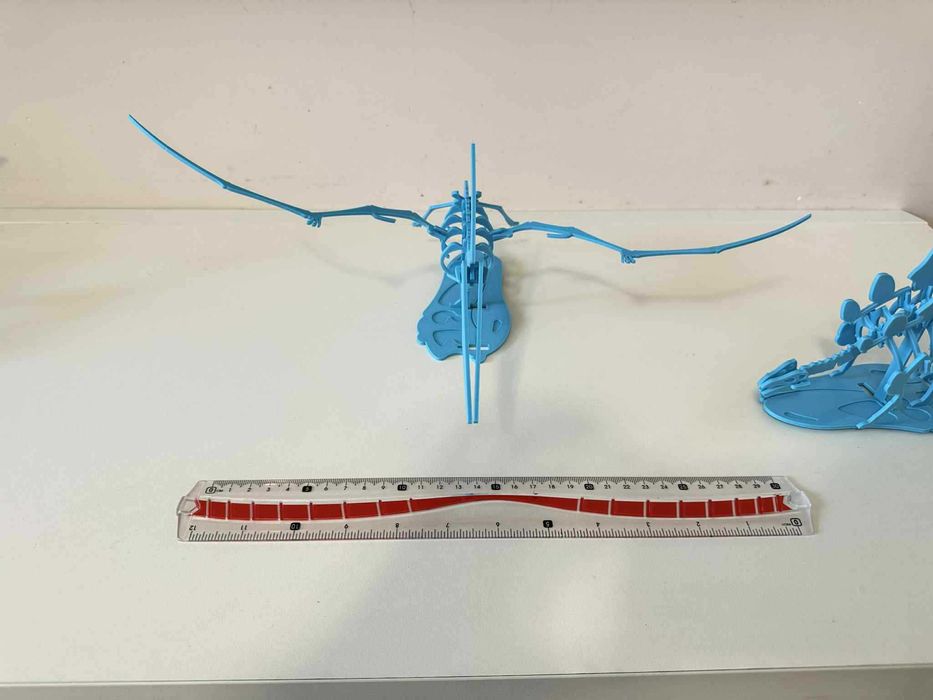 Пъзелите с динозавърски скелети