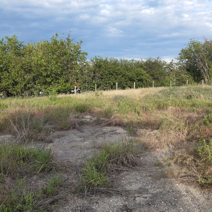 Продава се Парцел в с. Казимир, Област Силистра - 2000 кв.м за 5 €/кв.м - Снимка #3