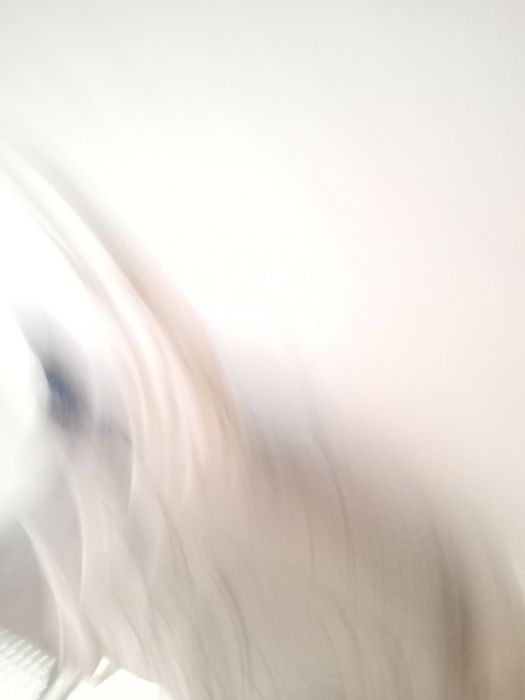 Две дамски чанти бяла и бежава