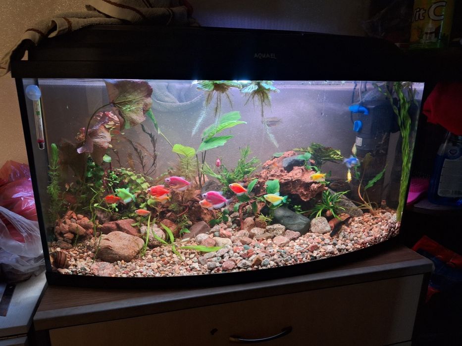 продам аквариум Aquael
