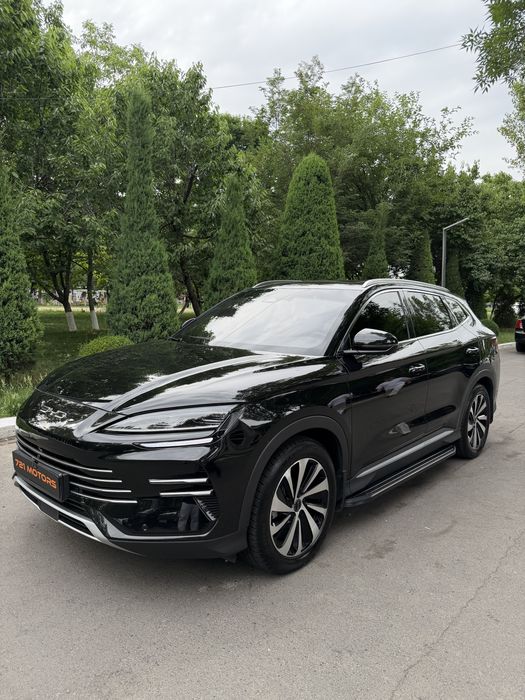 Byd Champion Gibrid 150 km Full + Navarot bor