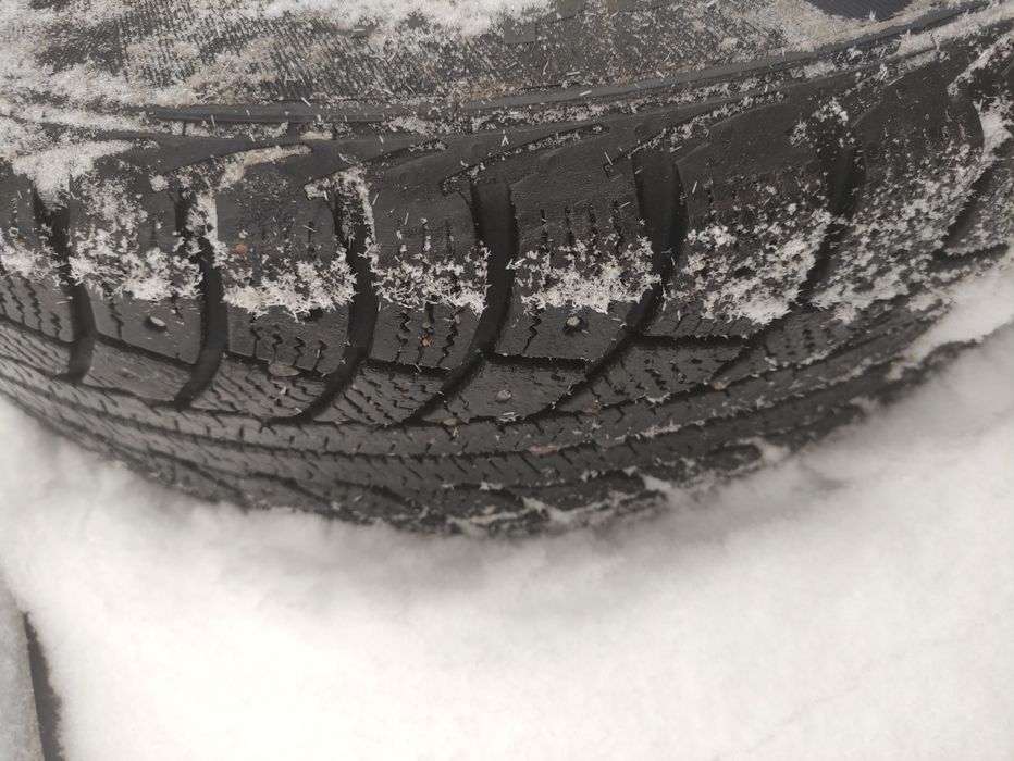 Зимние шины сибириан