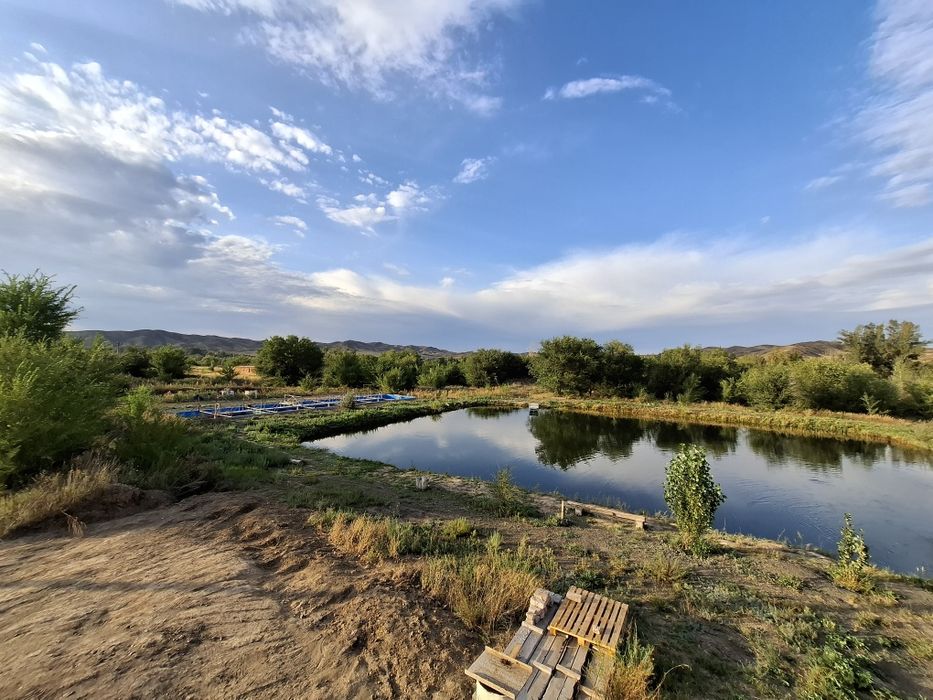 Продам действующее форелевое хозяйство