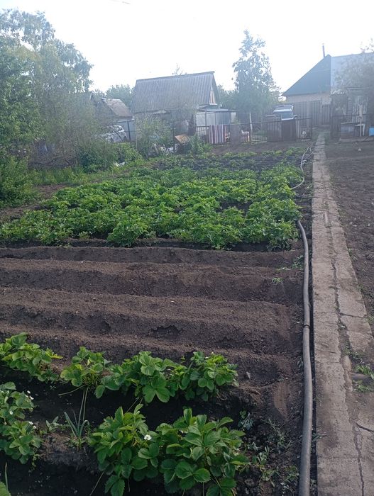 Продам дачу район саздинского водохранилища.