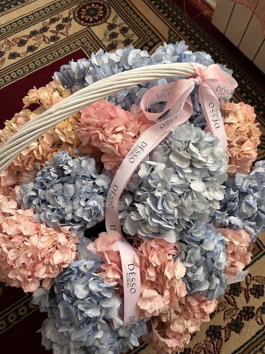 Гортензия цветы Атырау  25к