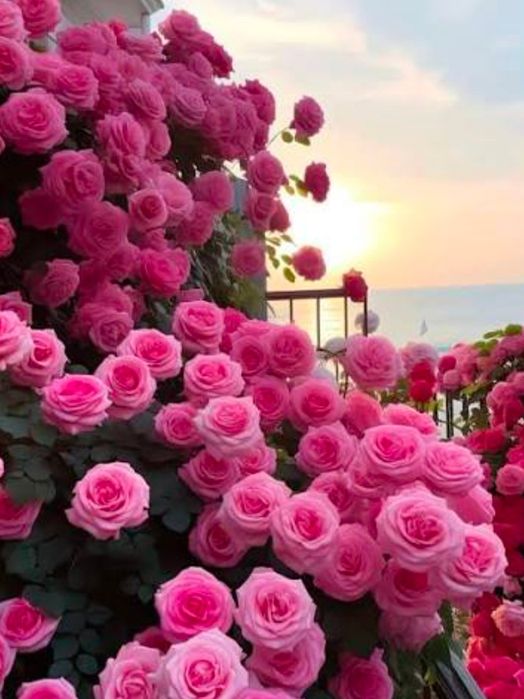 Массаж выездбен релакс