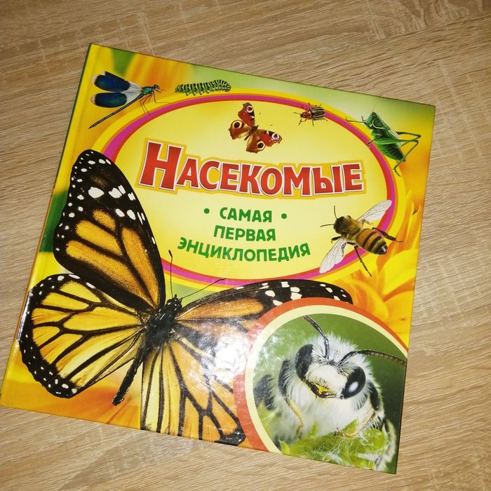 Детская литература