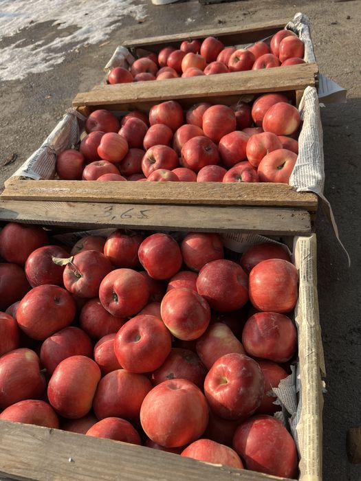 Отборные яблоки (американка, айдаред)