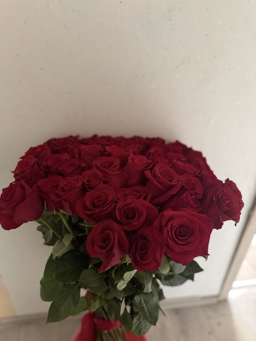 Розы 20000 тг 50 шт