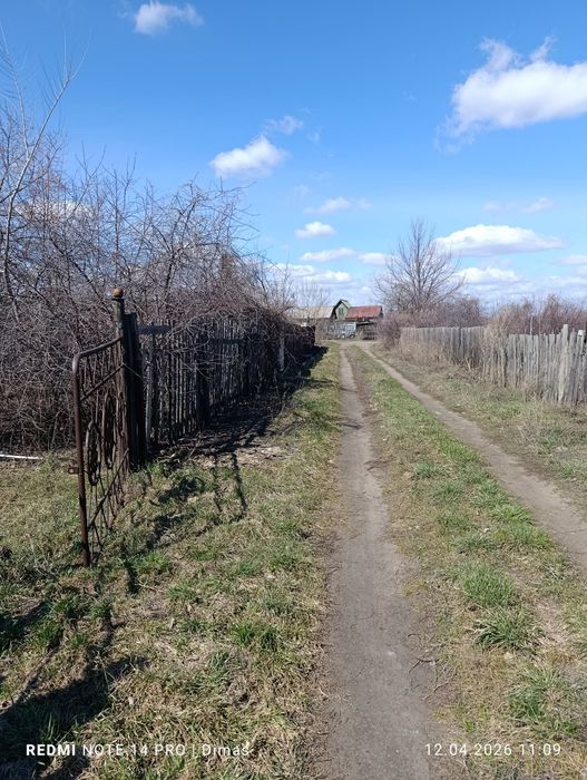 Продам дачу, садоводство яблонька