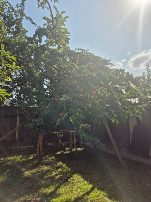 Срочно продам дом в Туздыбастау