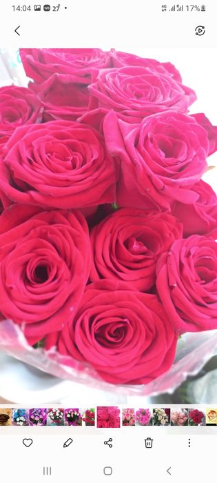 Цветы ,розы хризантемы лилии герберы орхидеи гипсофила гвоздика