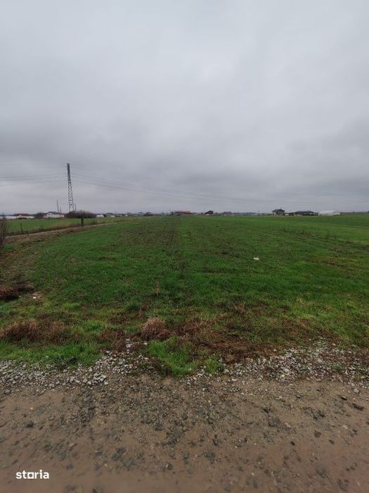 Teren Isalnita INTRAVILAN - 3266 MP - Ideal pentru investitie