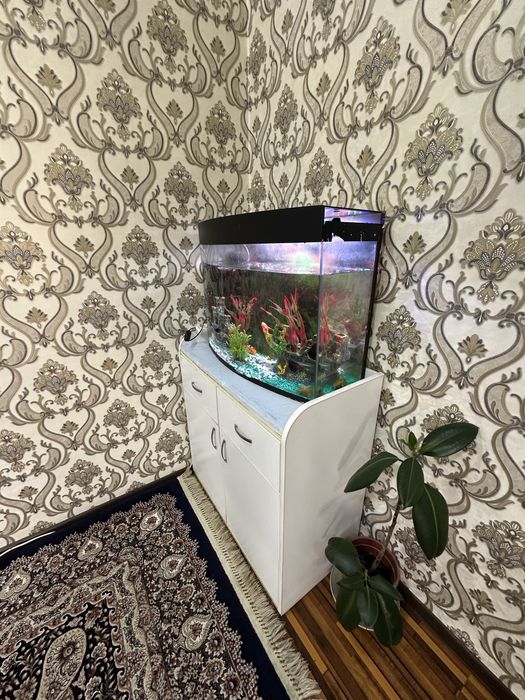 Аквариум 120л + подставка