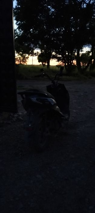 Pedo Gts sport italia