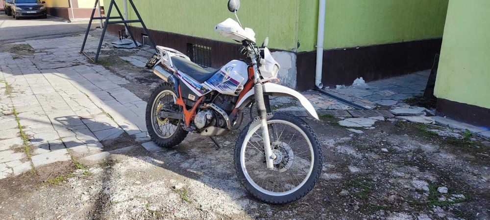 Продам чистого Японца