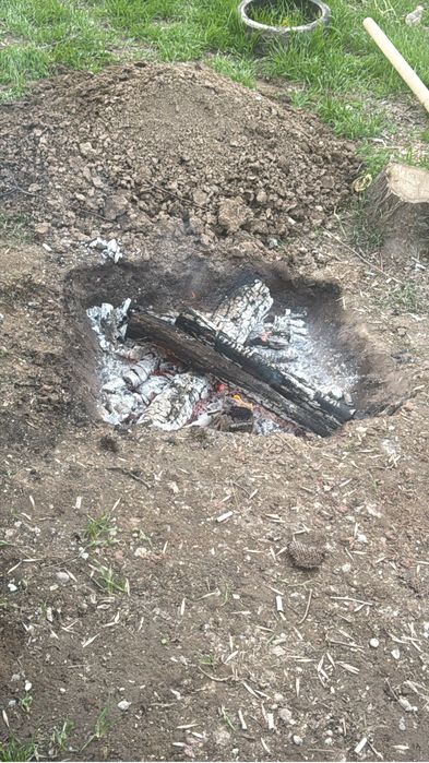 Жареная рыба сазан