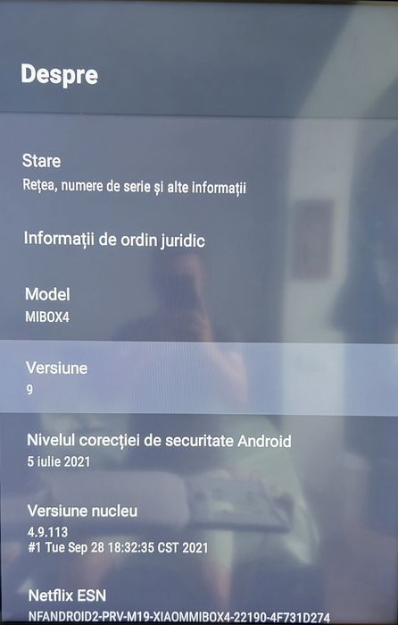 Mediaplayer Xiaomi MI TV Box 4, , Negru