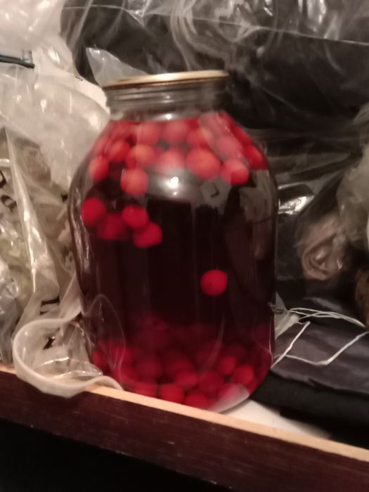 Продам Соленье огурцы и компоты