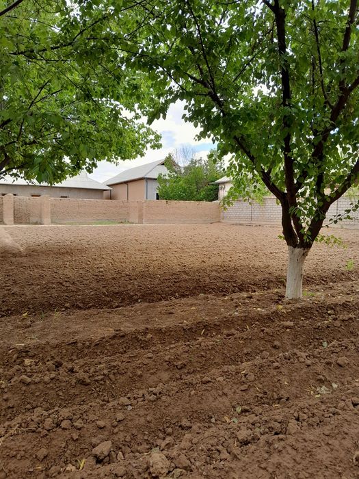 Quruq yer ( 8 sotox )sotiladi.