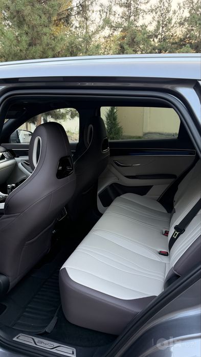 Byd chempion gibrid smart