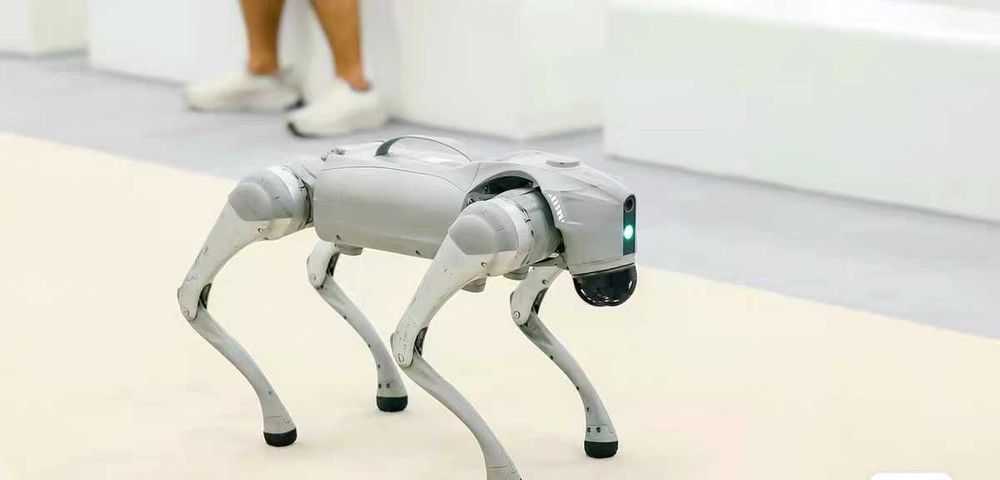 Unitree Go2 AIR робот-собака Go2 робот ит Go2