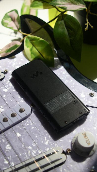SONY Walkman NWZ-E354