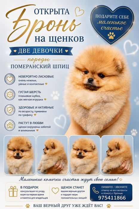 срочно бранируем