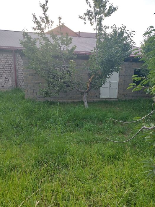 Срочно Охангарон шахрида кадастри бор ер сотилади