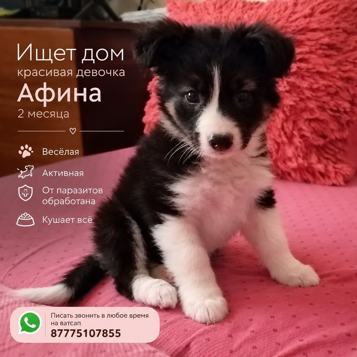 В самые добрые ручки