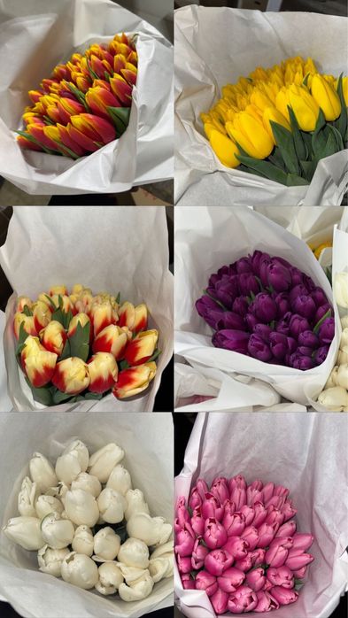 Цветы тюльпаны пионовидный тюльпаны