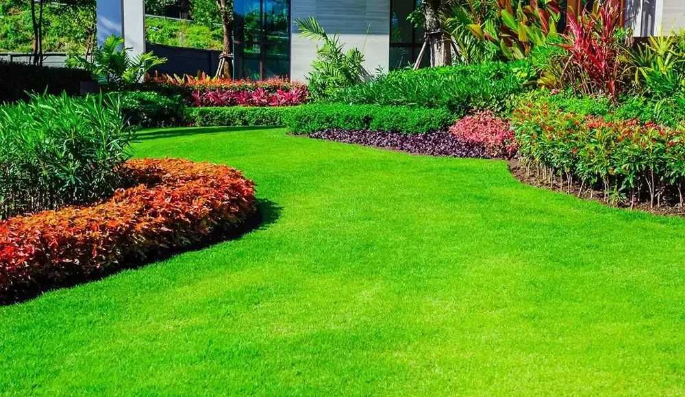 Озеленяване, поддръжка на тревни площи и растения, поливни с-ми