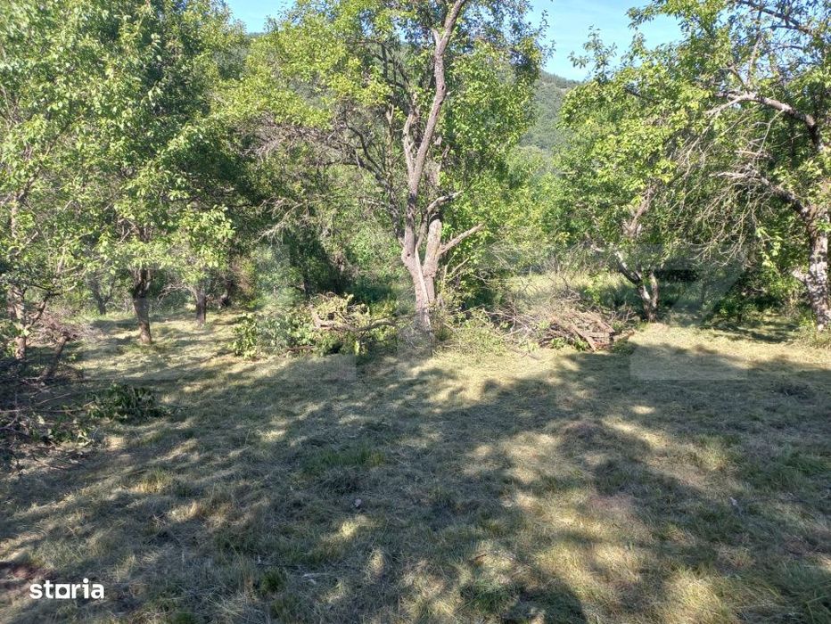 Teren intravilan 4.175 mp in Inuri – ideal cabana/casa de vacanta