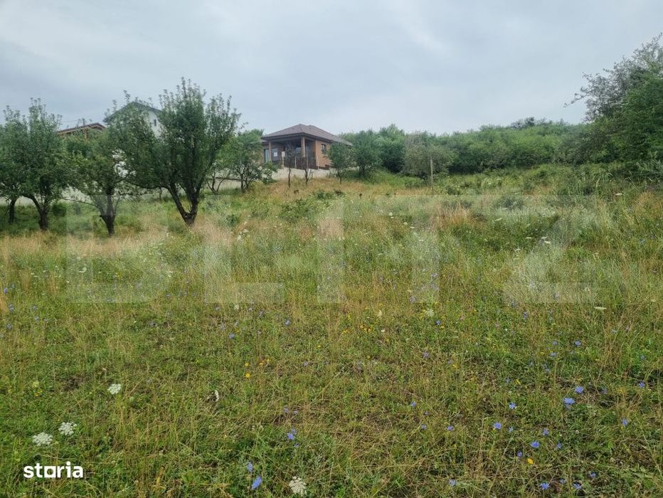 Teren 700 mp cu priveliste spre oras, disponibil si parcelat, Bistrita