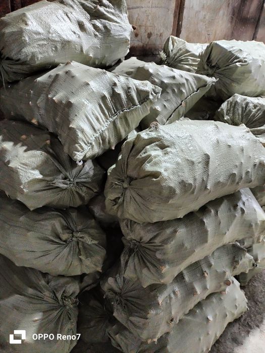 отын Баняға шашылыққа т. б